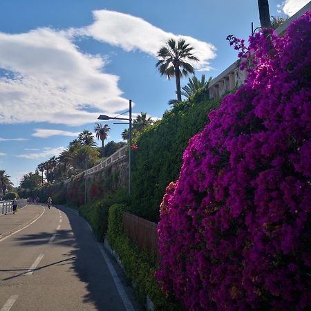 Petit Avec Classe San Remo Buitenkant foto
